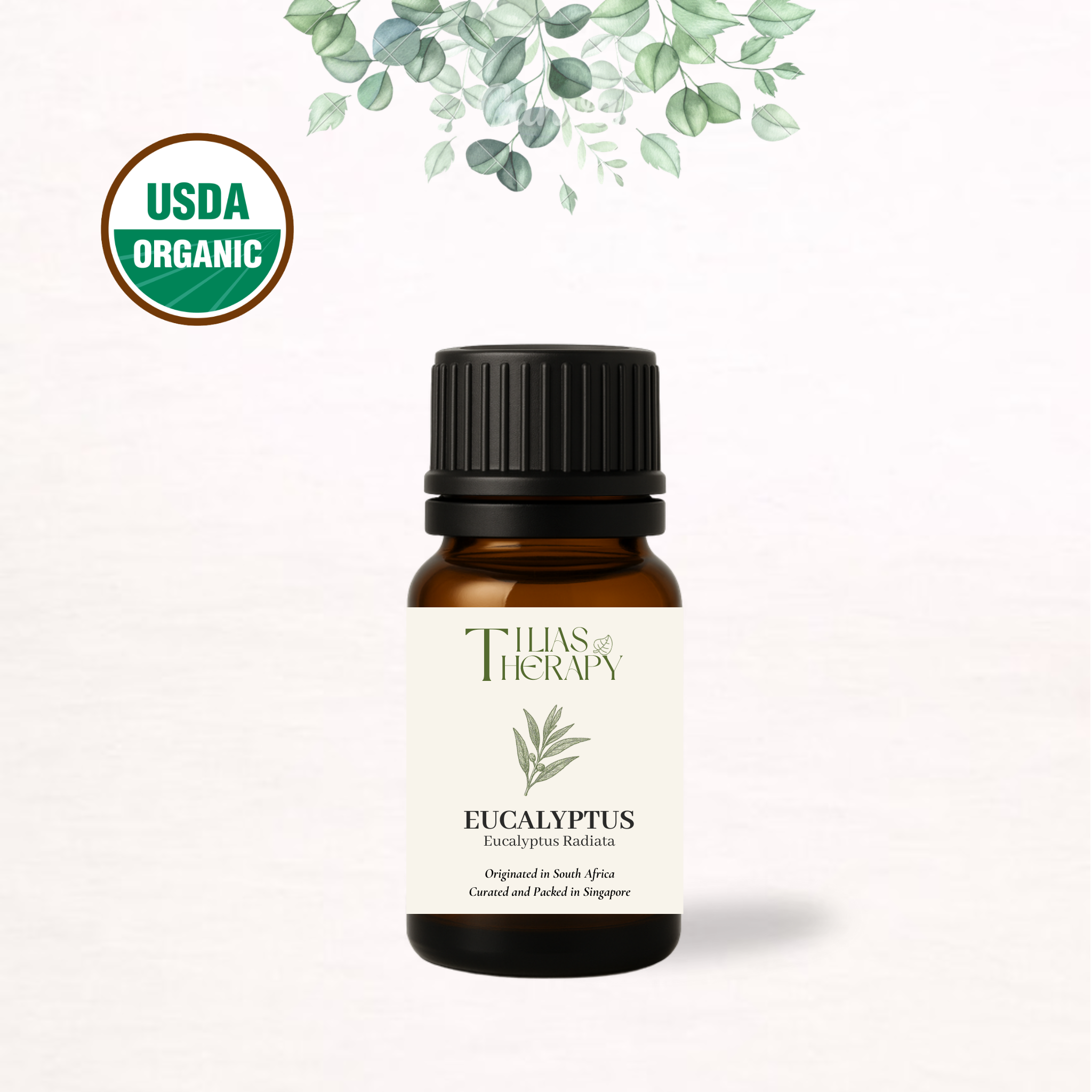 Organic Eucalyptus Essential Oil